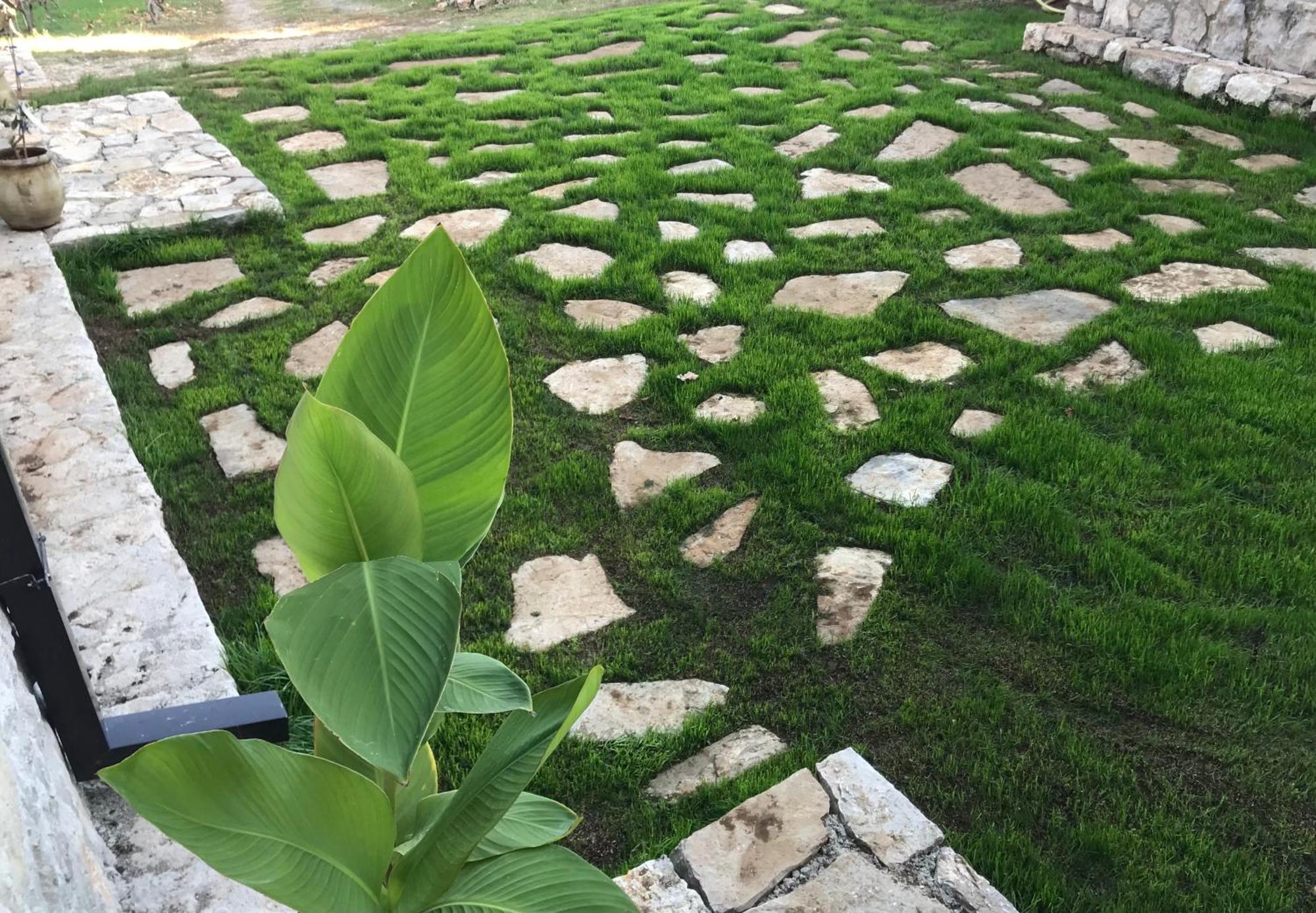 Green Silence - Vuk Podgorica Exterior photo