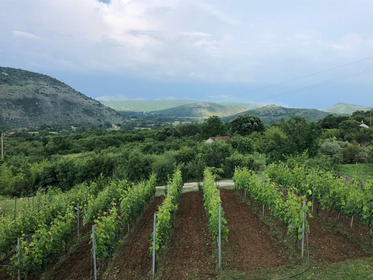 Green Silence - Vuk Podgorica Exterior photo